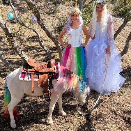 The Posh Unicorn