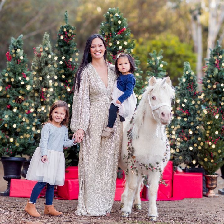 Christmas Unicorn Photoshoot San Diego