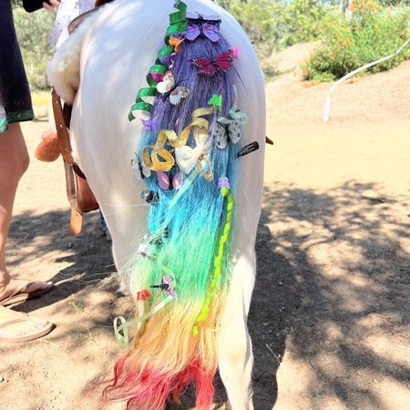 The Posh Unicorn