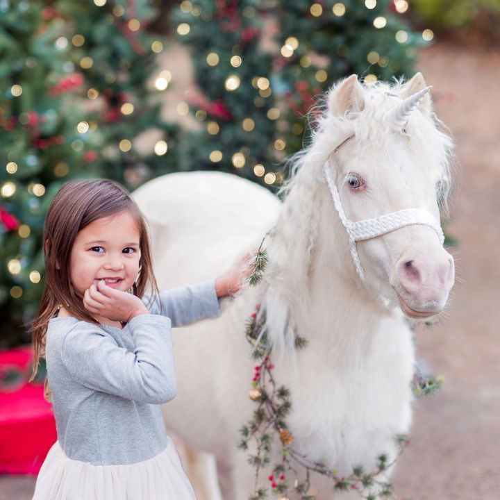 Christmas Unicorn Photoshoot San Diego