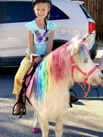 Riding a Rainbow Pony – San Diego, CA – The Posh Unicorn Riding a Rainbow Pony – San Diego, CA – The Posh Unicorn