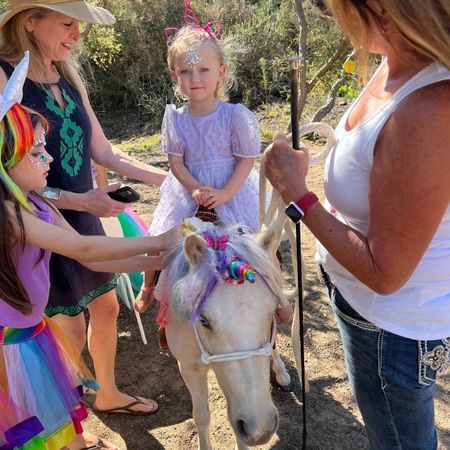The Posh Unicorn