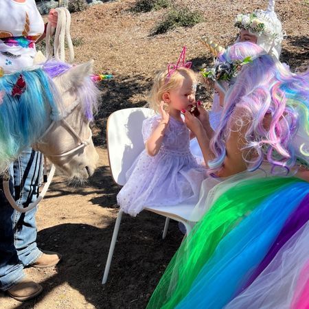 The Posh Unicorn