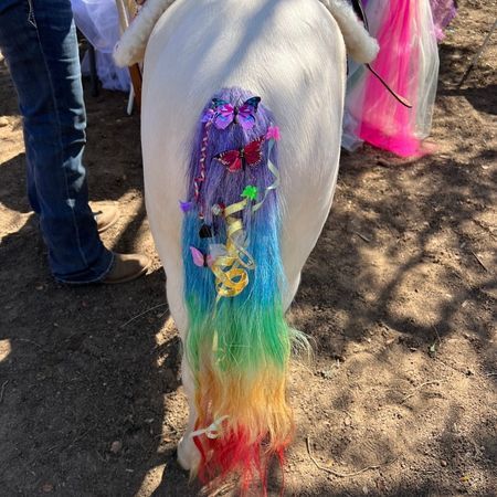 The Posh Unicorn
