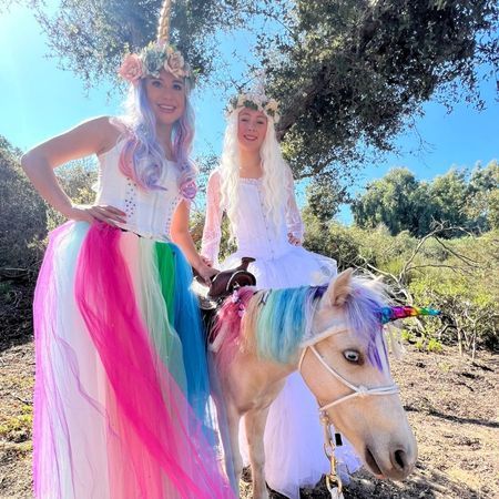The Posh Unicorn