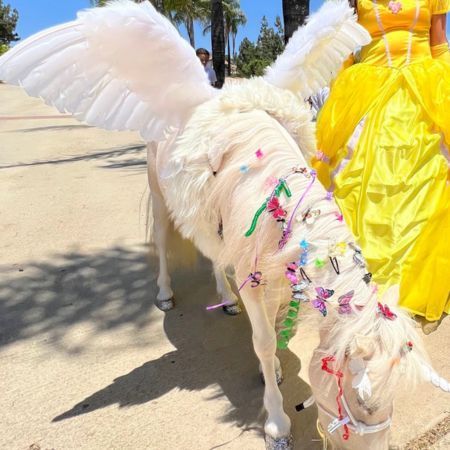 Decorate a live Pegasus with butterfly clips & ribbons at a unicorn party