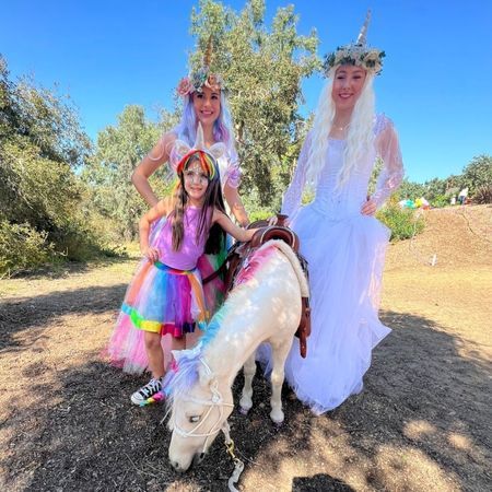 The Posh Unicorn
