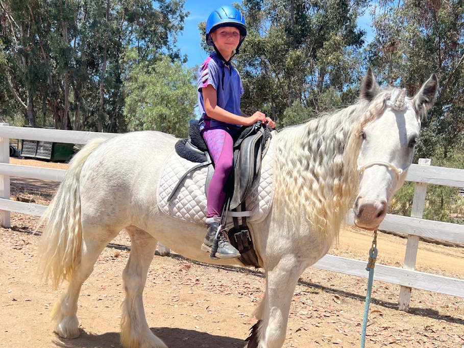 Young Boy Riding Posh – San Diego, CA – The Posh Unicorn Young Boy Riding Posh – San Diego, CA – The Posh Unicorn