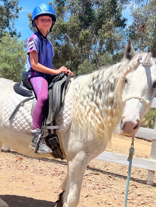 Young Boy Riding Posh – San Diego, CA – The Posh Unicorn Young Boy Riding Posh – San Diego, CA – The Posh Unicorn