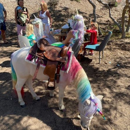 The Posh Unicorn