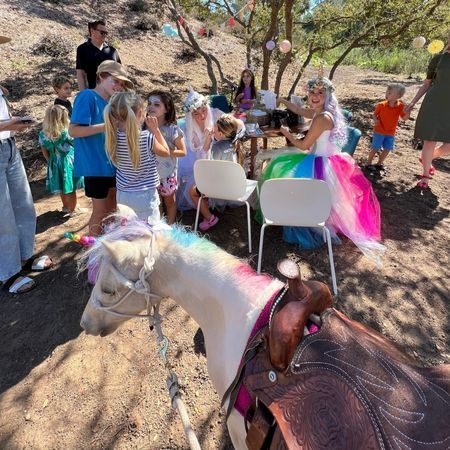 The Posh Unicorn