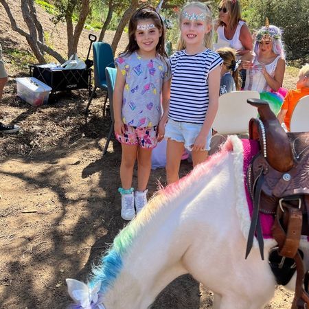 The Posh Unicorn