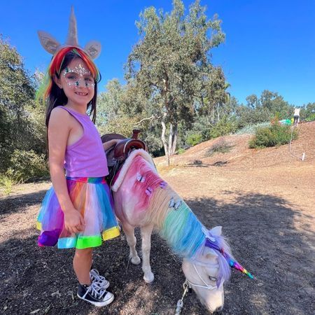 The Posh Unicorn