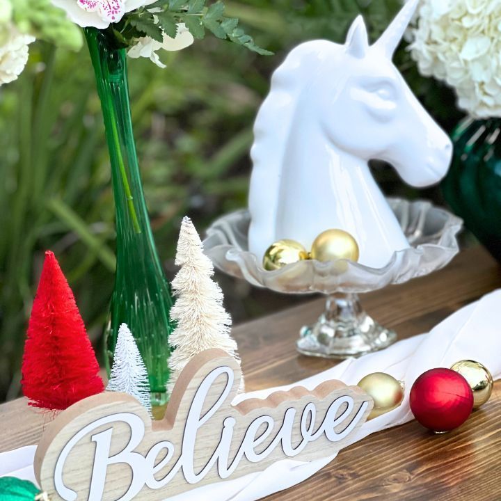 Christmas Luxury Picnic in San Diego