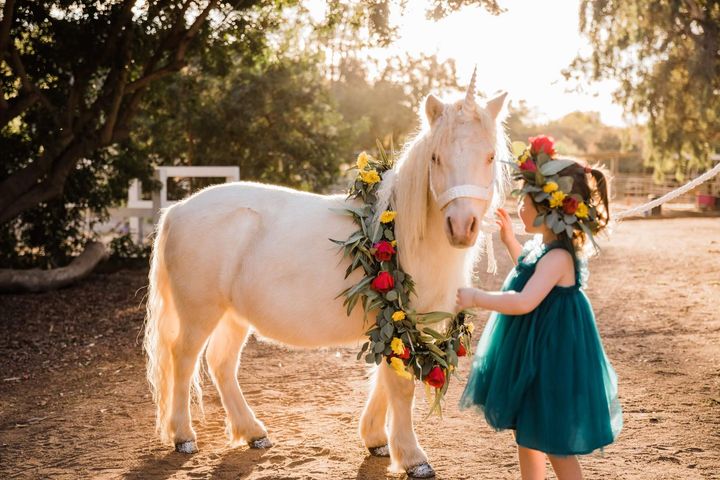 Little Girl Patting a Pony – San Diego, CA – The Posh Unicorn Little Girl Patting a Pony – San Diego, CA – The Posh Unicorn