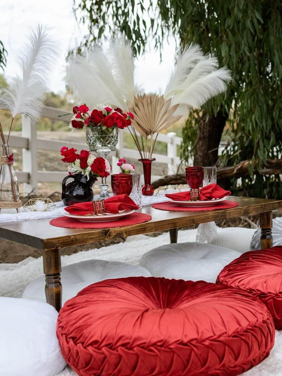 Picnic in Red – San Diego, CA – The Posh Unicorn