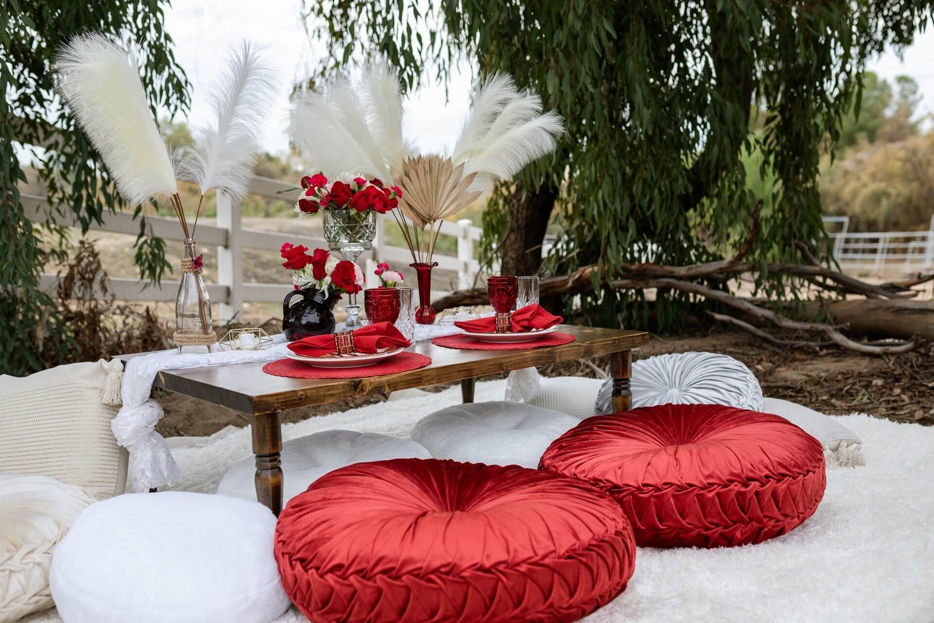 Picnic in Red – San Diego, CA – The Posh Unicorn