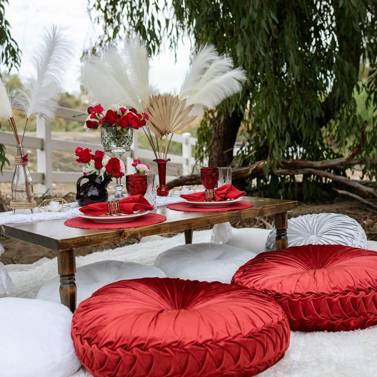 Picnic in Red – San Diego, CA – The Posh Unicorn