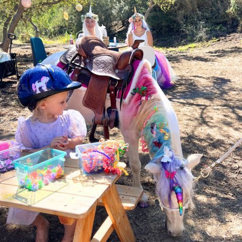 decorating, brushing, petting and putting butterfly clips on a live rainbow unicorn with two unicorn princesses at a unicorn birthday party in san diego
