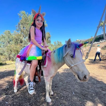 The Posh Unicorn