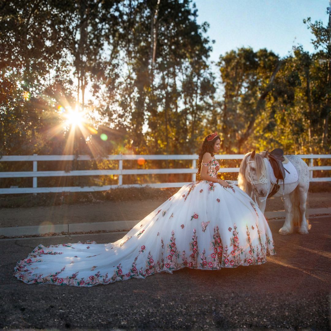 Live Unicorn Photoshoot at Fiesta Island San Diego - A magical unicorn photoshoot at the beach