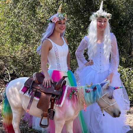 The Posh Unicorn