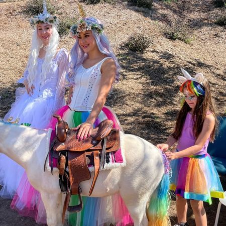 The Posh Unicorn