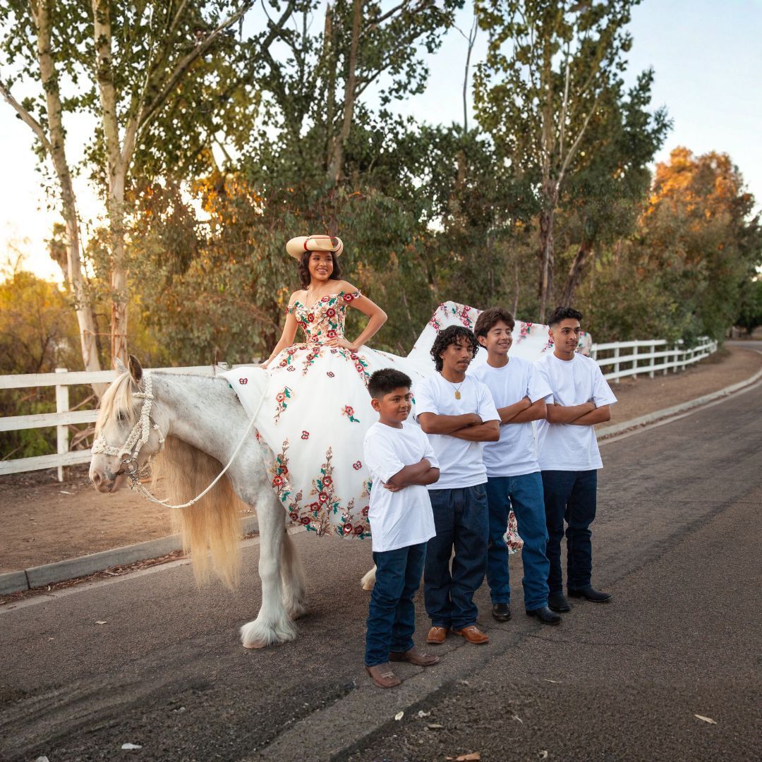 A professional Pegasus Photoshoot in san diego - photoshoot with a unicorn / alicorn / unicorn with wings
