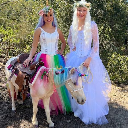 The Posh Unicorn