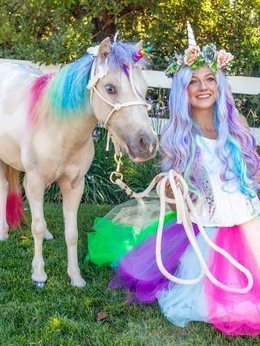 Rainbow Unicorn Princess – San Diego, CA – The Posh Unicorn Rainbow Unicorn Princess – San Diego, CA – The Posh Unicorn