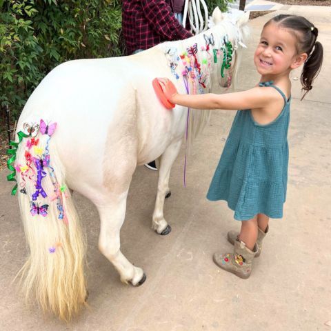 decorate, brush and pet a live unicorn at a unicorn birthday party in san diego