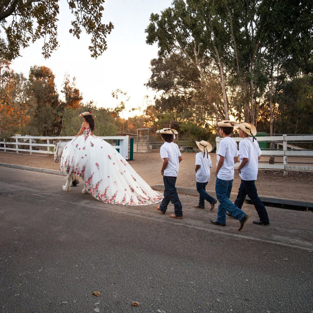 Live Posh Unicorn in San Diego - a Unicorn Photoshoot experience