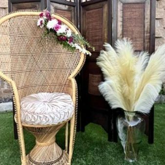 Rattan and Peacock Chair – San Diego, CA – The Posh Unicorn Rattan and Peacock Chair – San Diego, CA – The Posh Unicorn