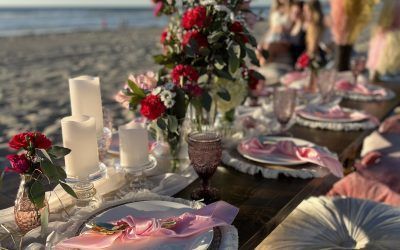 Luxury Bohemian Picnic in San Diego — San Diego, CA —The Posh Unicorn