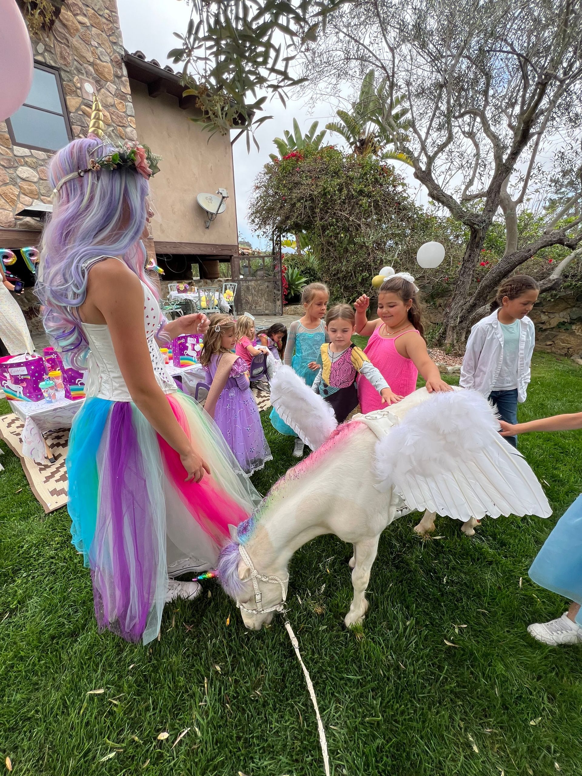 Planning a Magical Unicorn Birthday Party with The Posh Unicorn in San Diego  – San Diego, CA – The Posh Unicorn