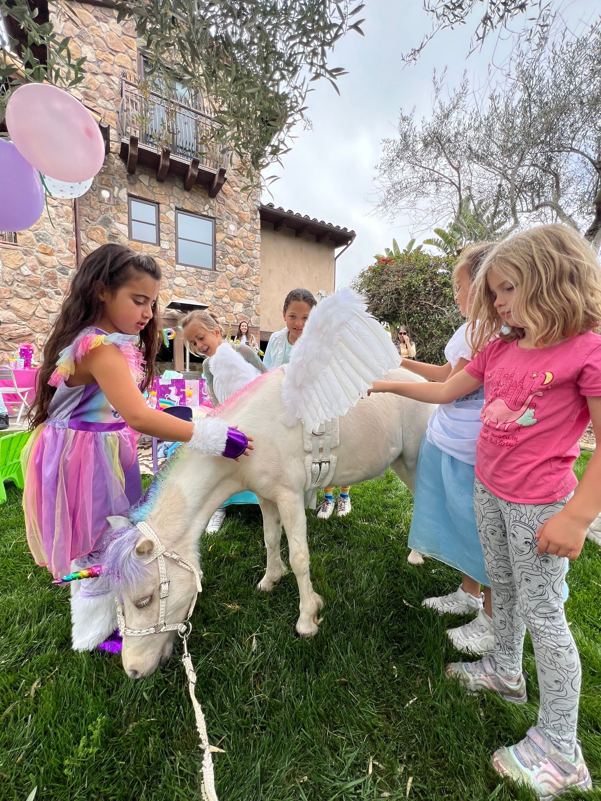 Planning a Magical Unicorn Birthday Party with The Posh Unicorn in San Diego  – San Diego, CA – The Posh Unicorn