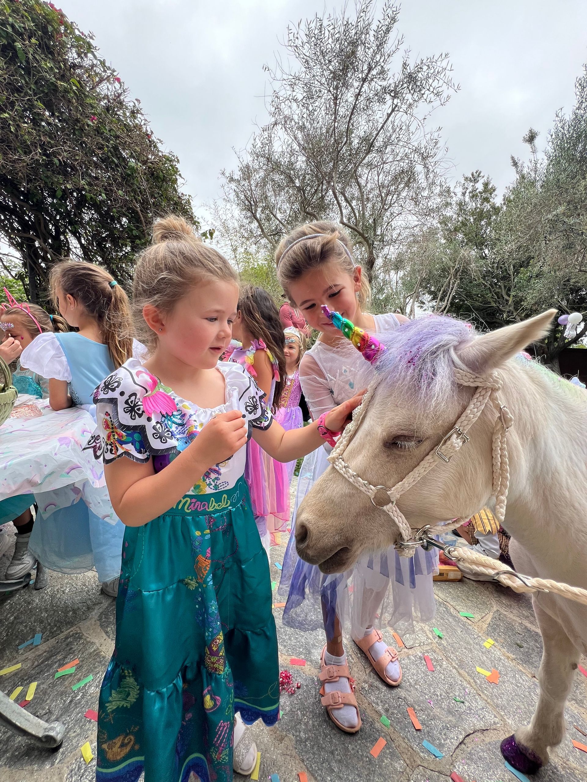 Planning a Magical Unicorn Birthday Party with The Posh Unicorn in San Diego  – San Diego, CA – The Posh Unicorn