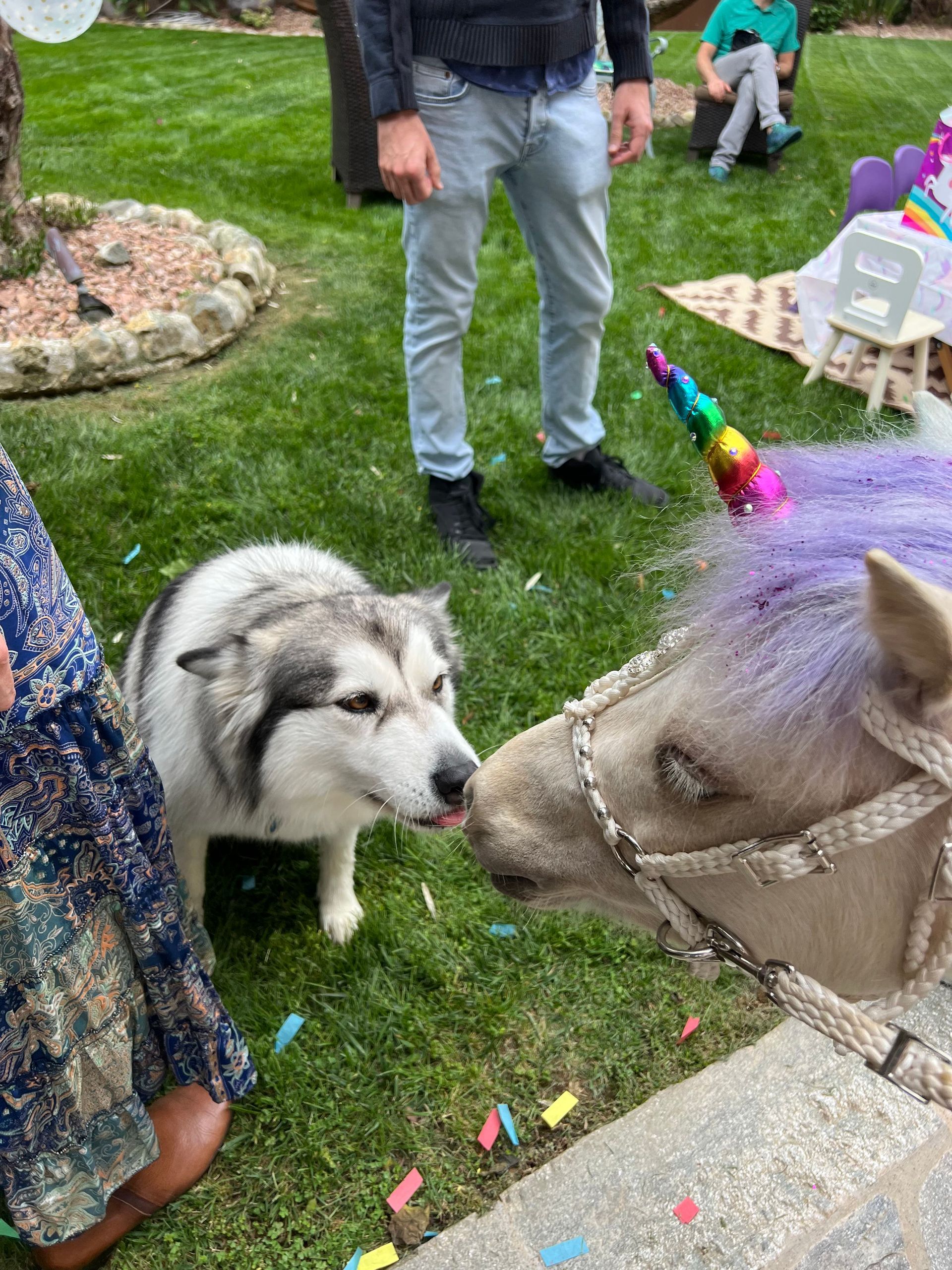 Planning a Magical Unicorn Birthday Party with The Posh Unicorn in San Diego  – San Diego, CA – The Posh Unicorn