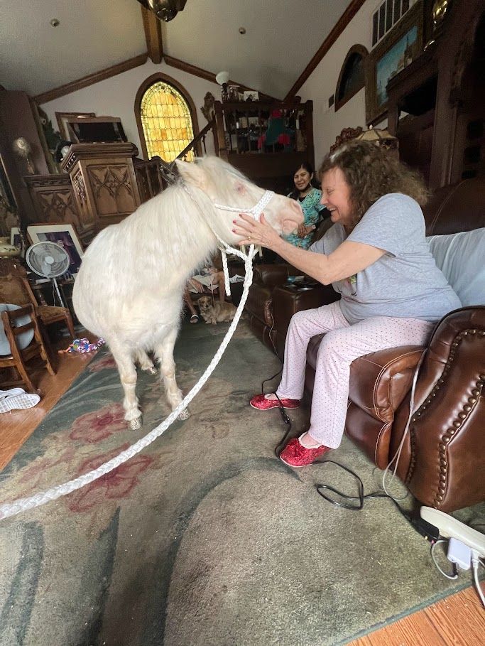 Old Woman Meeting Posh – San Diego, CA – The Posh Unicorn Old Woman Meeting Posh – San Diego, CA – The Posh Unicorn