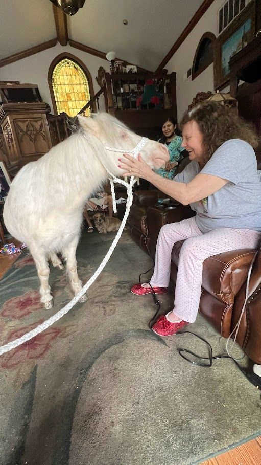 Old Woman Meeting Posh – San Diego, CA – The Posh Unicorn Old Woman Meeting Posh – San Diego, CA – The Posh Unicorn