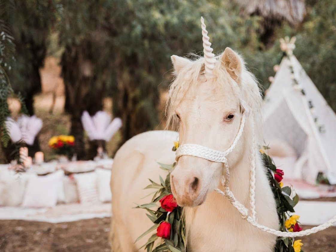Ride On Posh – San Diego, CA – The Posh Unicorn Ride On Posh – San Diego, CA – The Posh Unicorn
