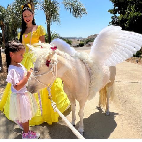 Live Pegasus - Private 1:1 VIP Meeting with a live unicorn / pegasus / alicorn in san diego