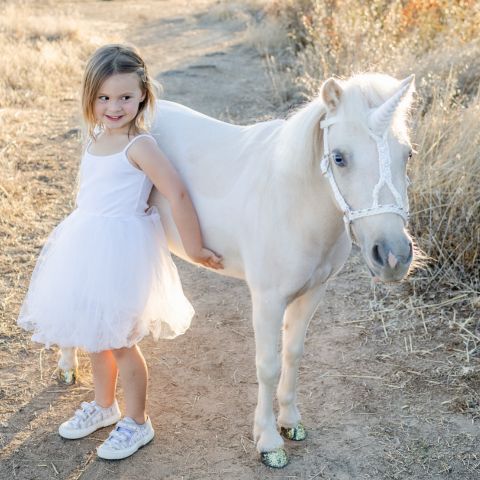 Live Unicorn Private Meet and Greet in San Diego