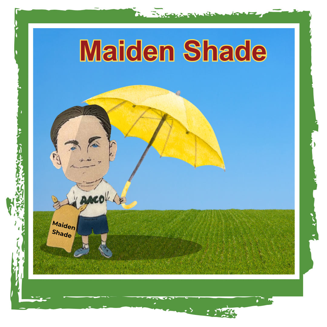 Owner cory caricature holding yellow umbrella and grass seed with maiden shade text