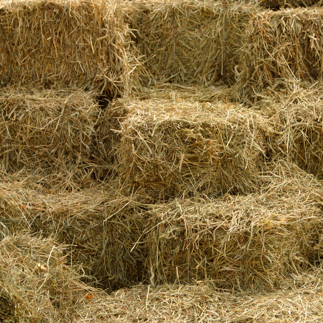 Stack of rectangular hay bales.