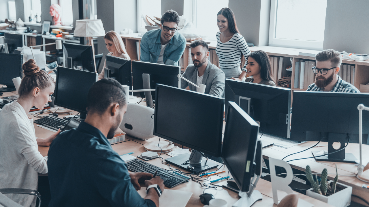 A group of people are sitting at desks in front of computer monitors in an office.