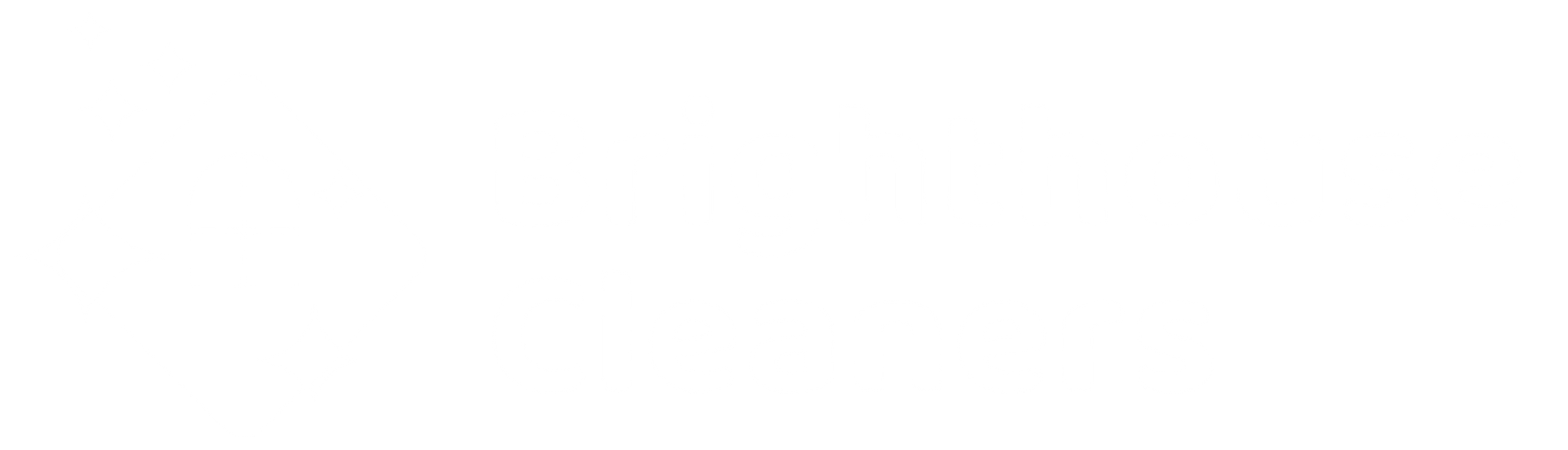 Brighthouse Cleaners logo