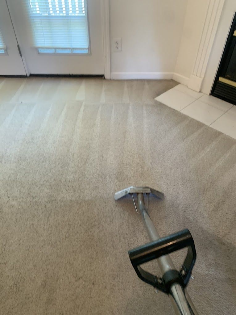A vacuum cleaner is cleaning a carpet in a living room.