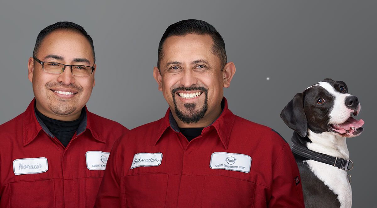 About Us - Lube Experts North West