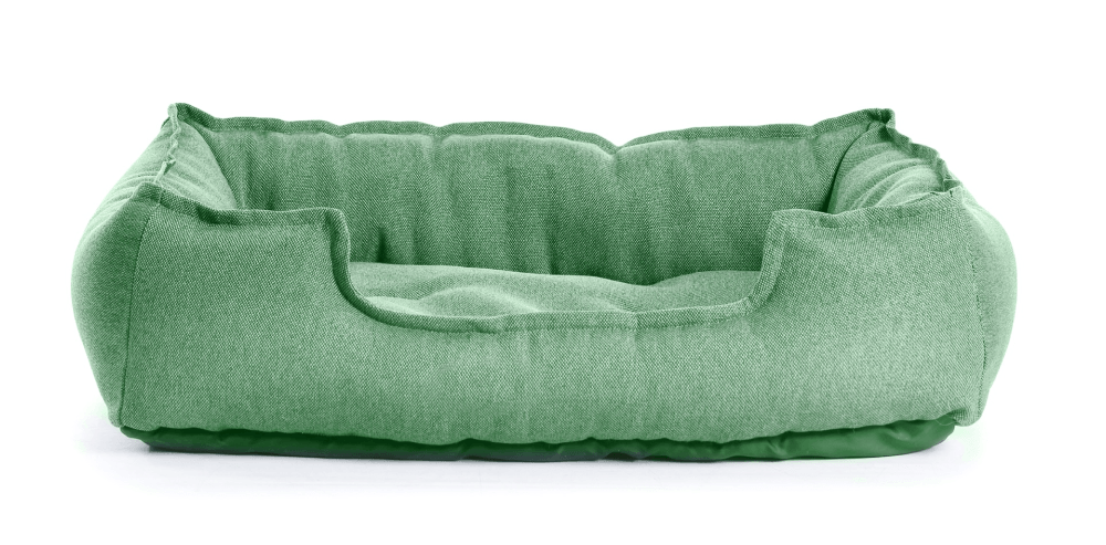Green dog bed.